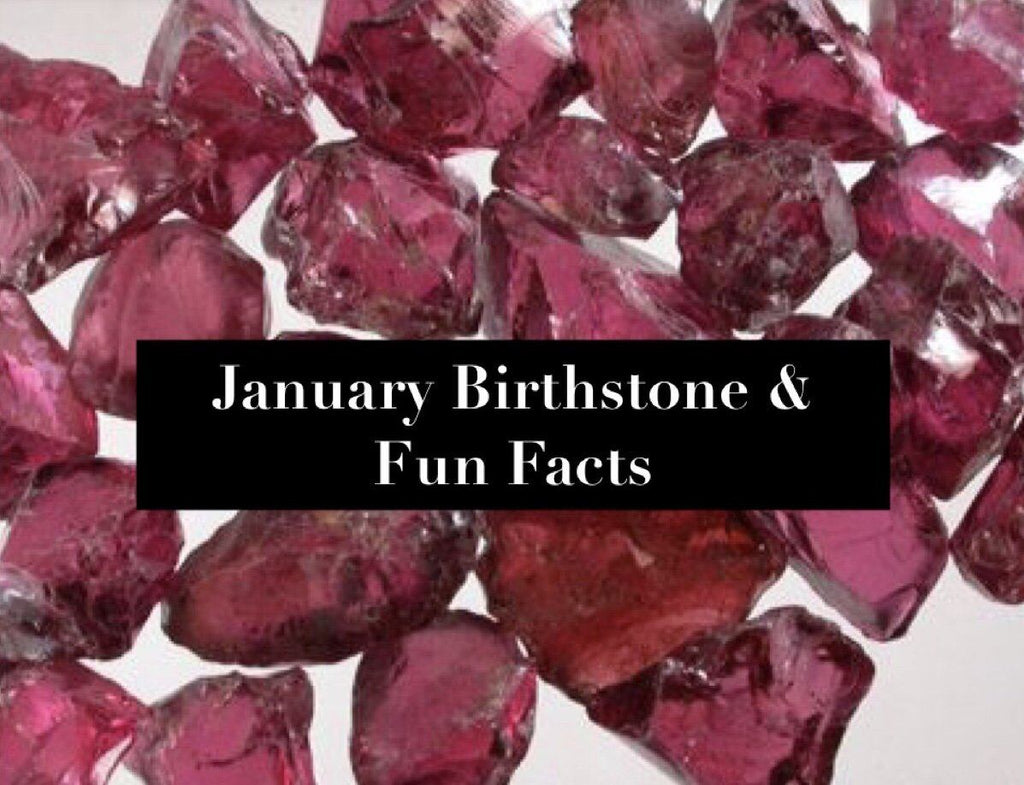 January Birthstone and Fun Facts