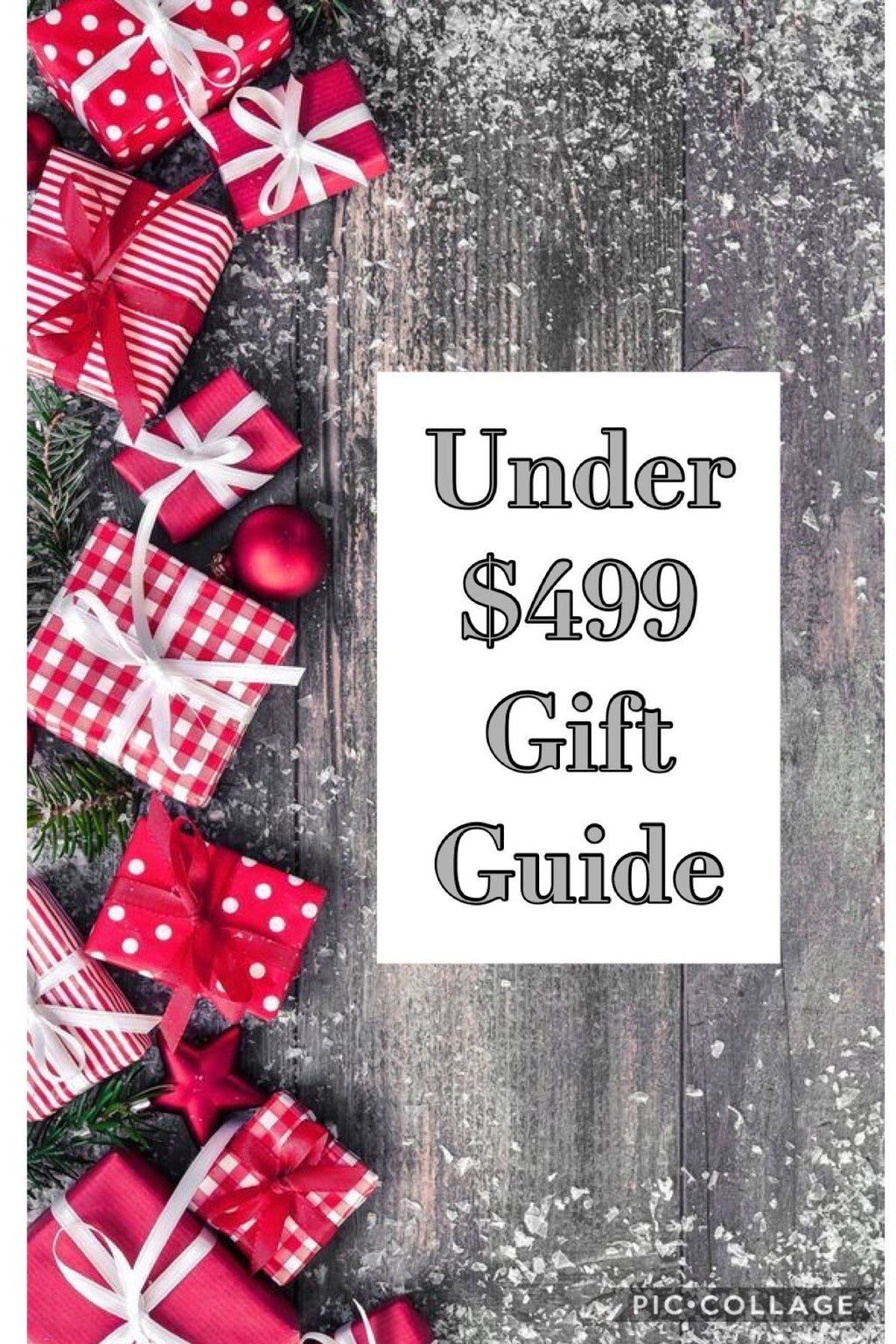 Under $499 Gift Guide