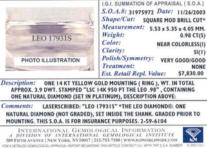 Leo 0.98ctw Princess I/SI1 Diamond Engagement Ring in 14K Yellow Gold & Platinum - Size 7