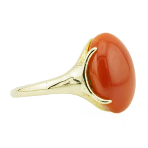 Coral Solitaire Fashion Ring in 14K Yellow Gold - Size 6.5