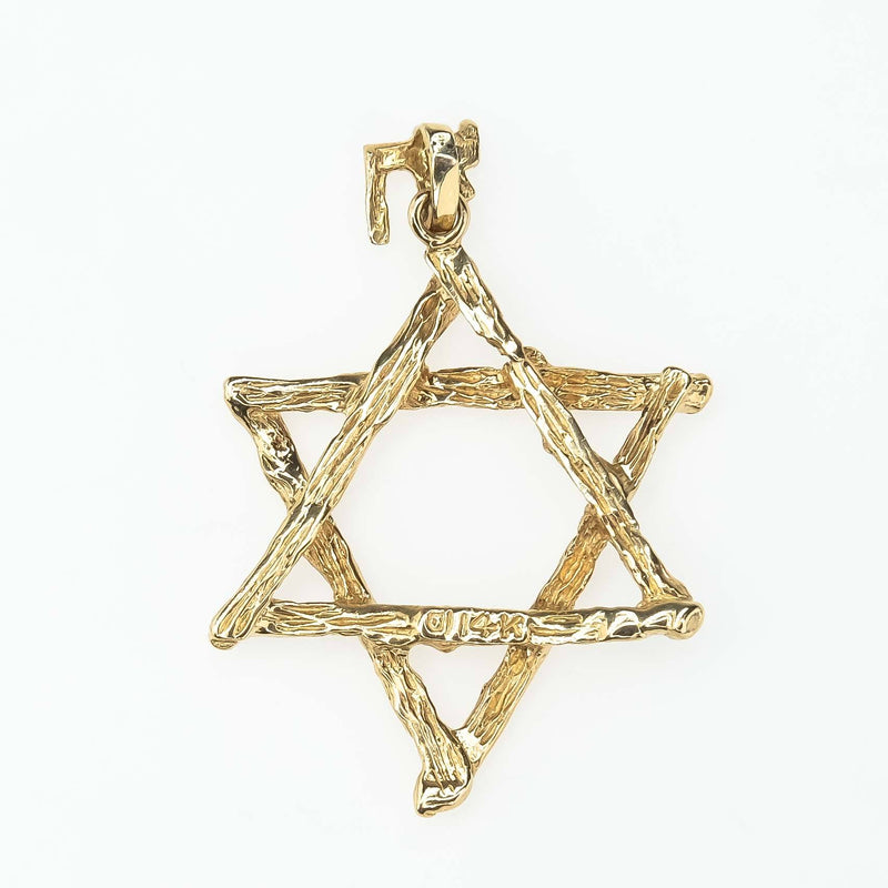 Textured Tree Branch Star of David with Chai Bail Pendant in 14K Yellow Gold Pendants Oaks Jewelry 
